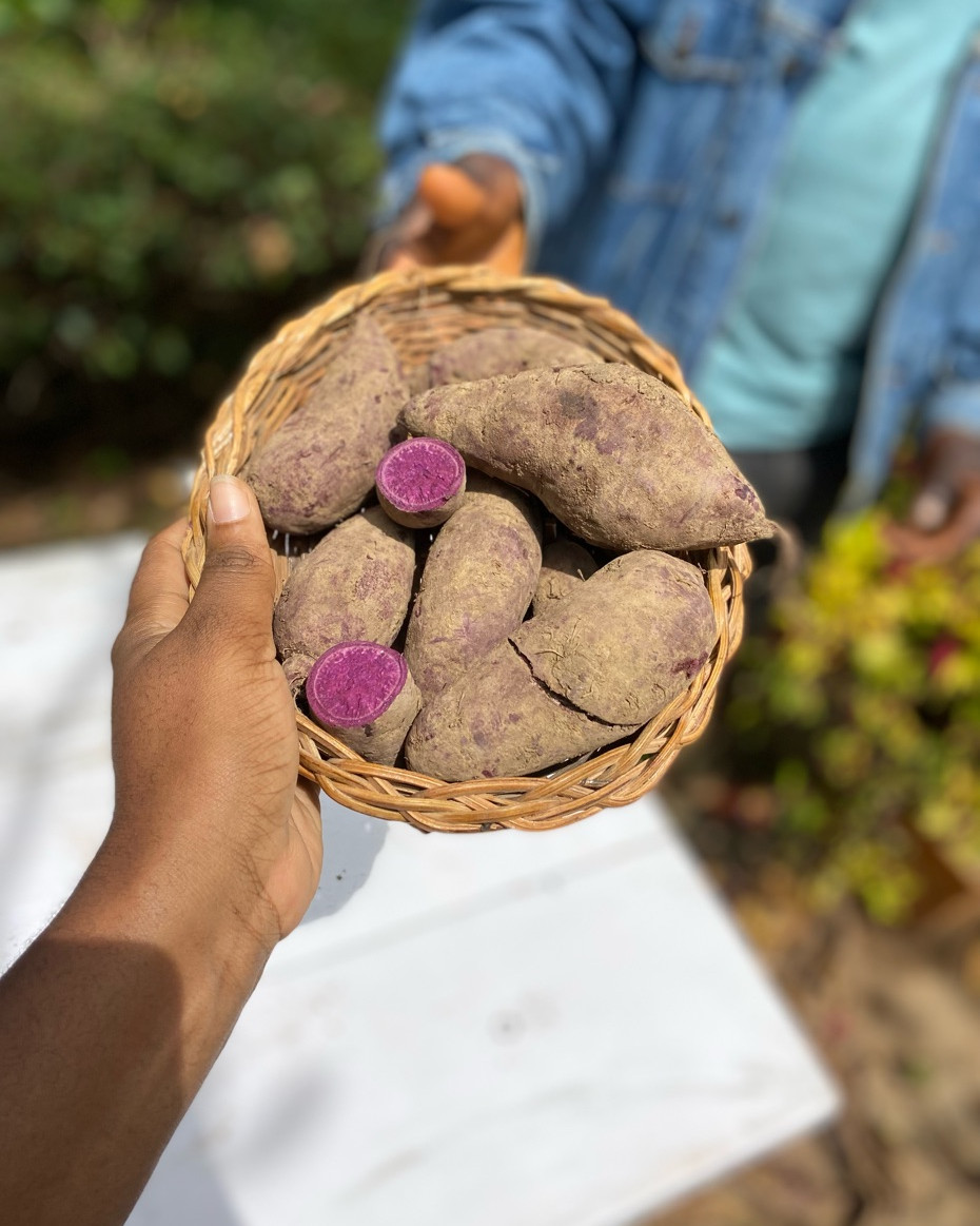 Purple Fleshed Sweet Potatoes - Kg Approx. 4-9pcs